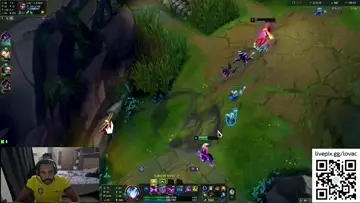 Mono vayne