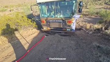 MORE DIGGING the BUS