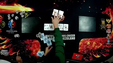 All in fibal