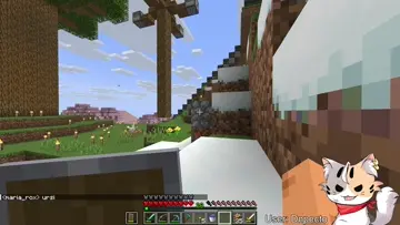 saludokemandoestegatokiut