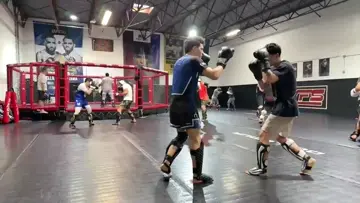 light sparring clip