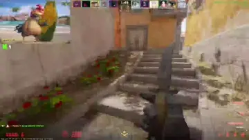 FLASHBANG