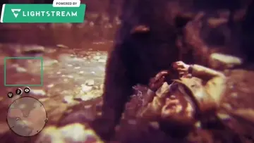 💀🐻