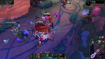 hayvansal tahm kench