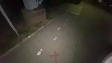 ludi deda