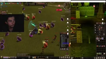 Bug