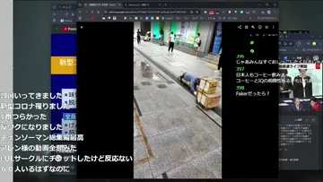 カンコクノコジキ