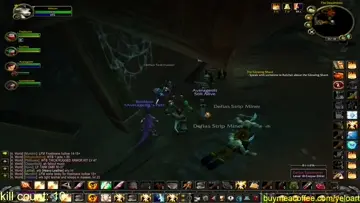 DM bug