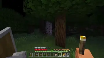un oso wacho
