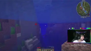 O enderman vai pra pic* agora