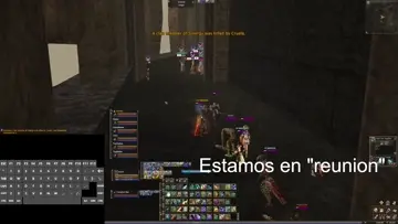 Party Peruvian AFK - Pijeado
