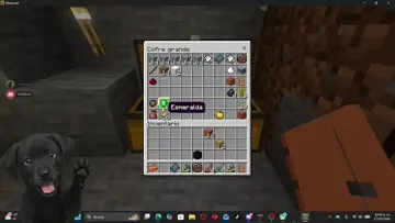 pinche creeper
