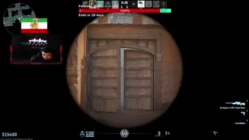 snipe