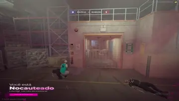 Galinheiro tem dono