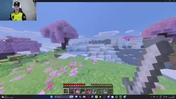 Cerdo