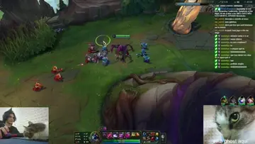 aaa
