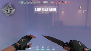 immo 2 trigger discipline + ACE