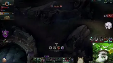 who's this kassadin