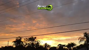 florida sunrise 612