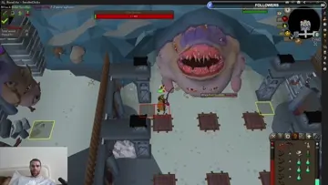 DUKE PET!