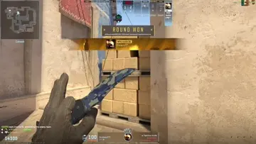 Headshots ACE