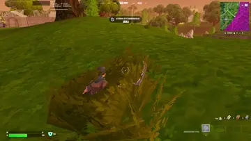 top 10 bush kick bounties