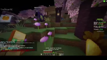 TIRA SU SHULKER