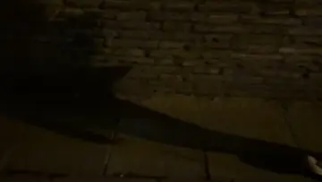 una pequeña sesión de foto