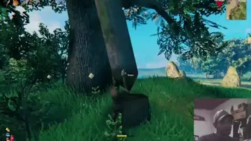 paraaaaa