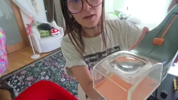 bug