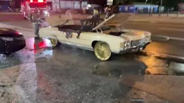 OZMAN WHIP