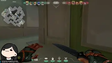 La mejor raze de su cuarto !