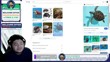 Dont be a turtle!