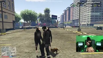 reLOCO con los MONOOOOOOO ay mi gatito
