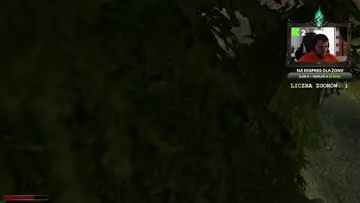 Dyntka2