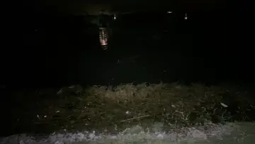 aha geldiiii eklenen balık