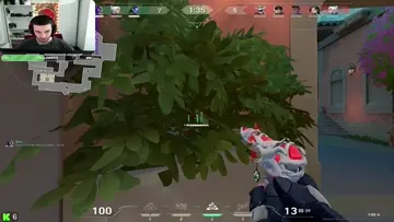 witey görür