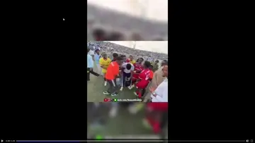 Face camreactoingtasheeko | Clip