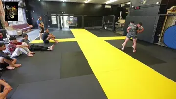 Head Movement