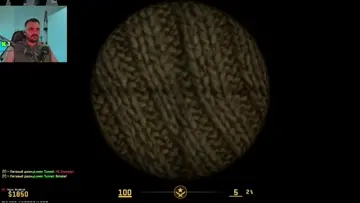 snipe