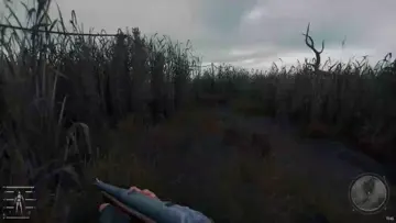 The bussy in under attack!