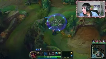 robada epica al jungla XDD