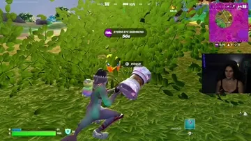 bush camping