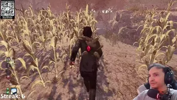 hit krasuee