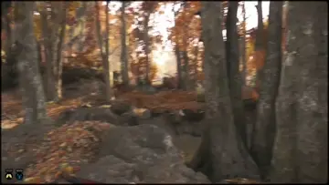 poor guys just tryna get Rotjaw!