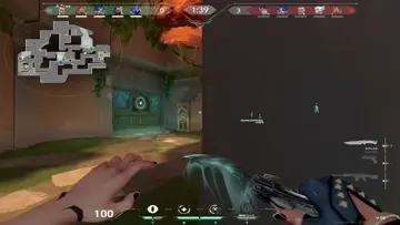 ace lotus