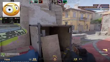 bot 