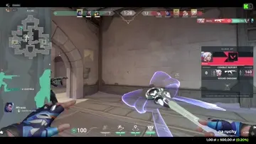 NICE FLESZ
