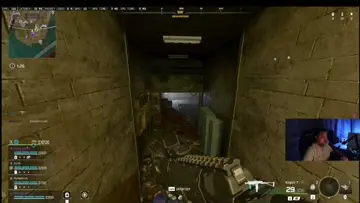 snipes