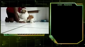 CONVERSAS E GAMEPLAY COM O KING